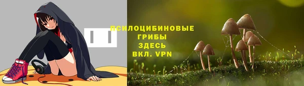 эйфоретик Баксан