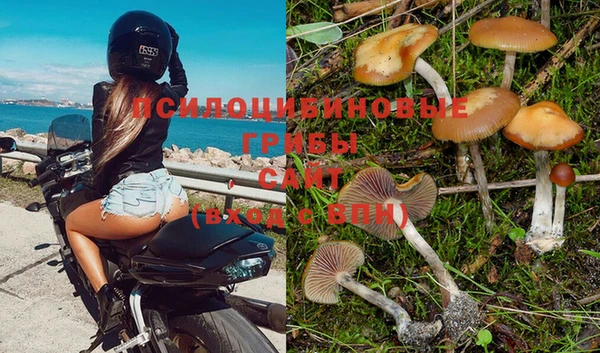 эйфоретик Баксан