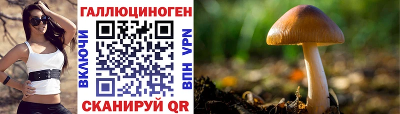 Псилоцибиновые грибы Cubensis  shop состав  Сусуман  хочу  