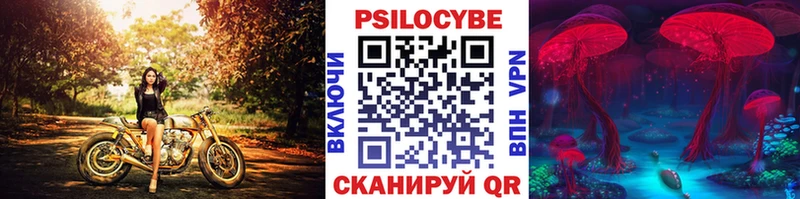 Галлюциногенные грибы GOLDEN TEACHER Сусуман